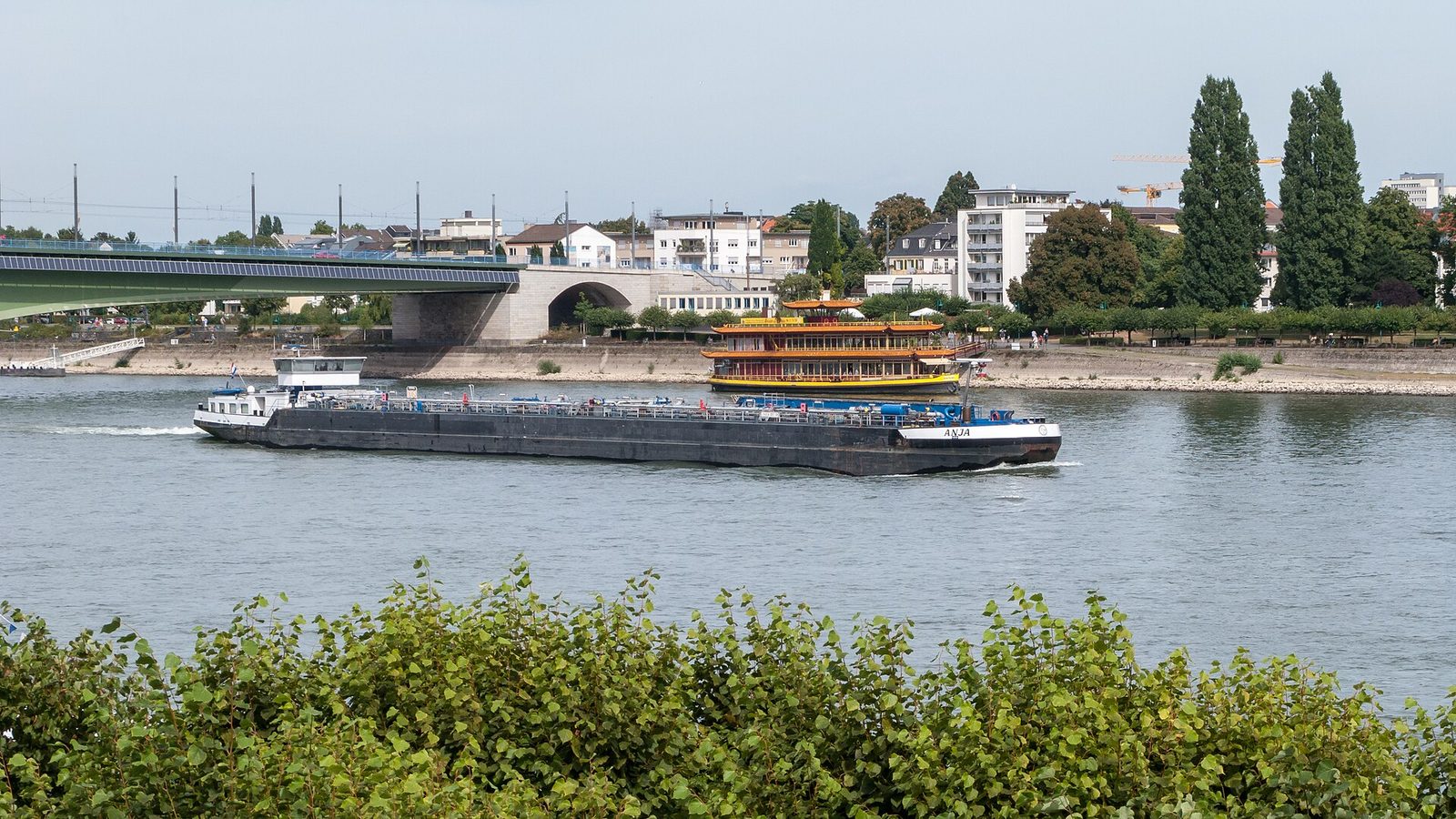 Kennedybrücke bei Bonn-Beuel mit Blick über den Rhein auf die Bonner Skyline
